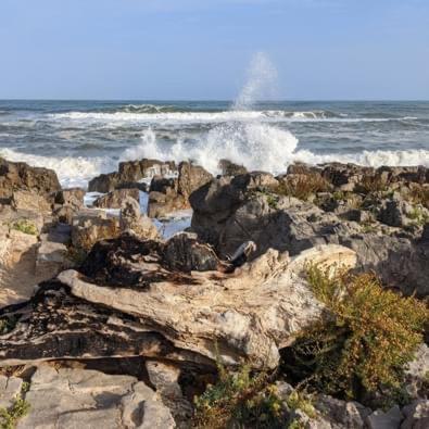Vue Imprenable Sur Mer- La Perle De Pierre La Holiday home