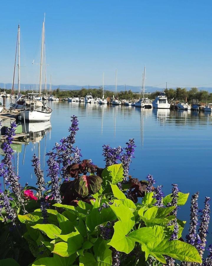Vue Imprenable Sur Mer- La Perle De Pierre La Saint-Pierre-la-Mer (Aude)