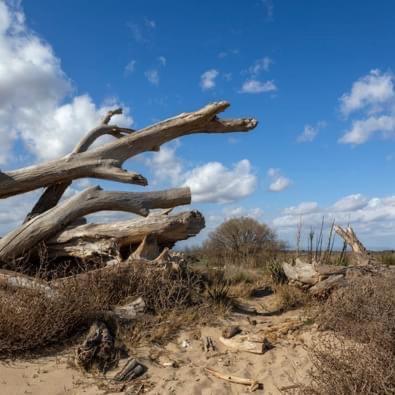 Vue Imprenable Sur Mer- La Perle De Pierre La Holiday home