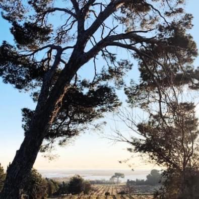 Vue Imprenable Sur Mer- La Perle De Pierre La Saint-Pierre-la-Mer (Aude)